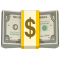 Business finance and payments icon